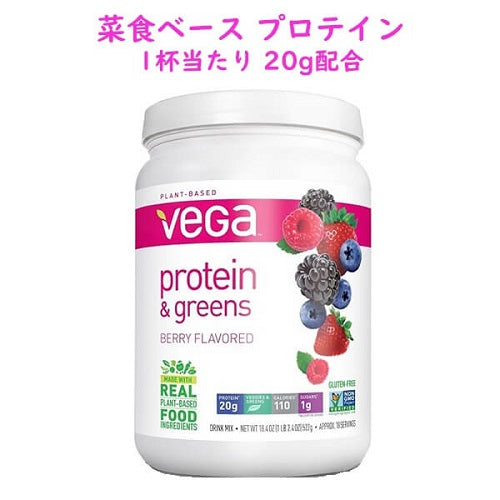 健康維持に☆プラントベースのプロテインパウダー☆