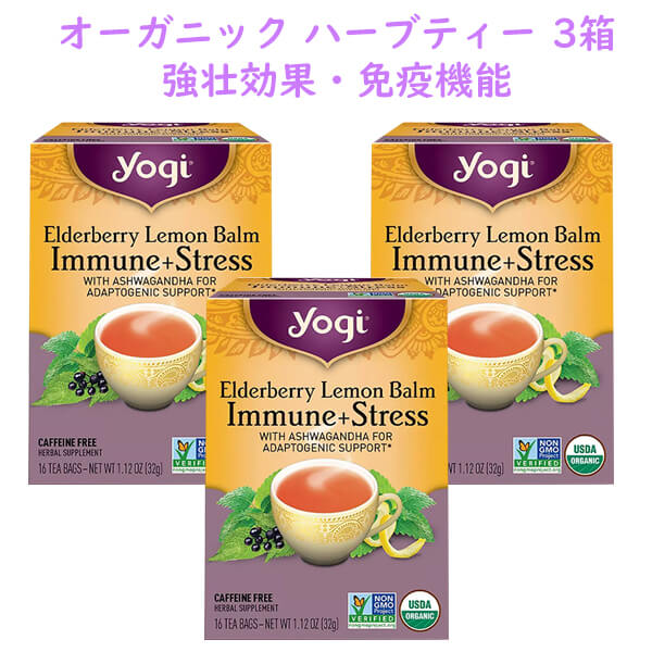 Yogi tea 3種 6袋 ヨギティ - 茶